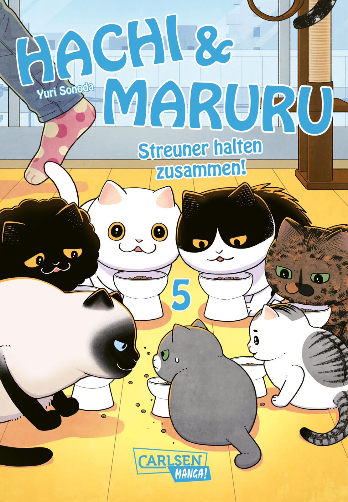 j-store-online-hachi-maruru-streuner-halten-zusammen-5