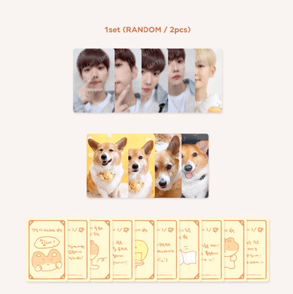 BAEKHYUN - RANDOM LUCKY CARD SET (2023 TEO-LAE-GI ZIPDURI) - J-Store Online