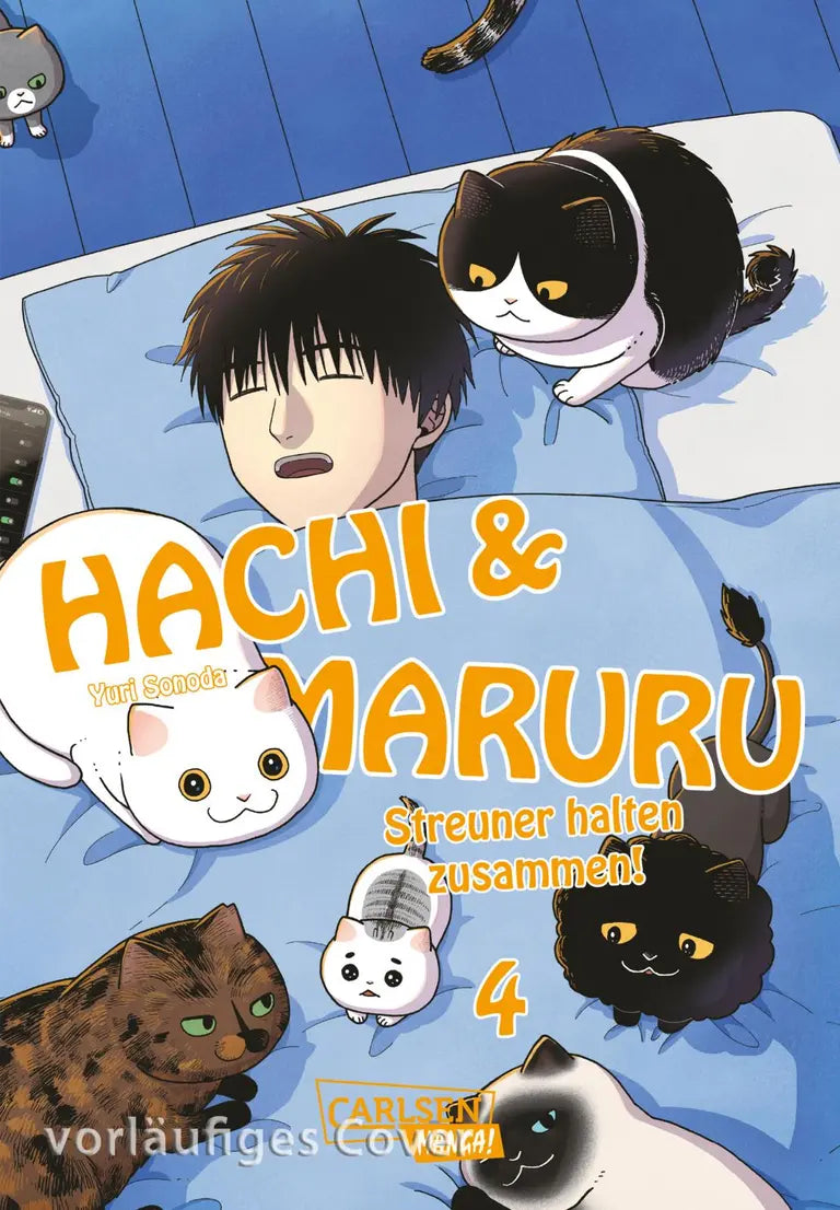 j-store-online-hachi-und-maruru-streuner-halten-zusammen-4