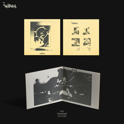 jstore_online_B_I_3rd_Album_WONDERLAND_content2