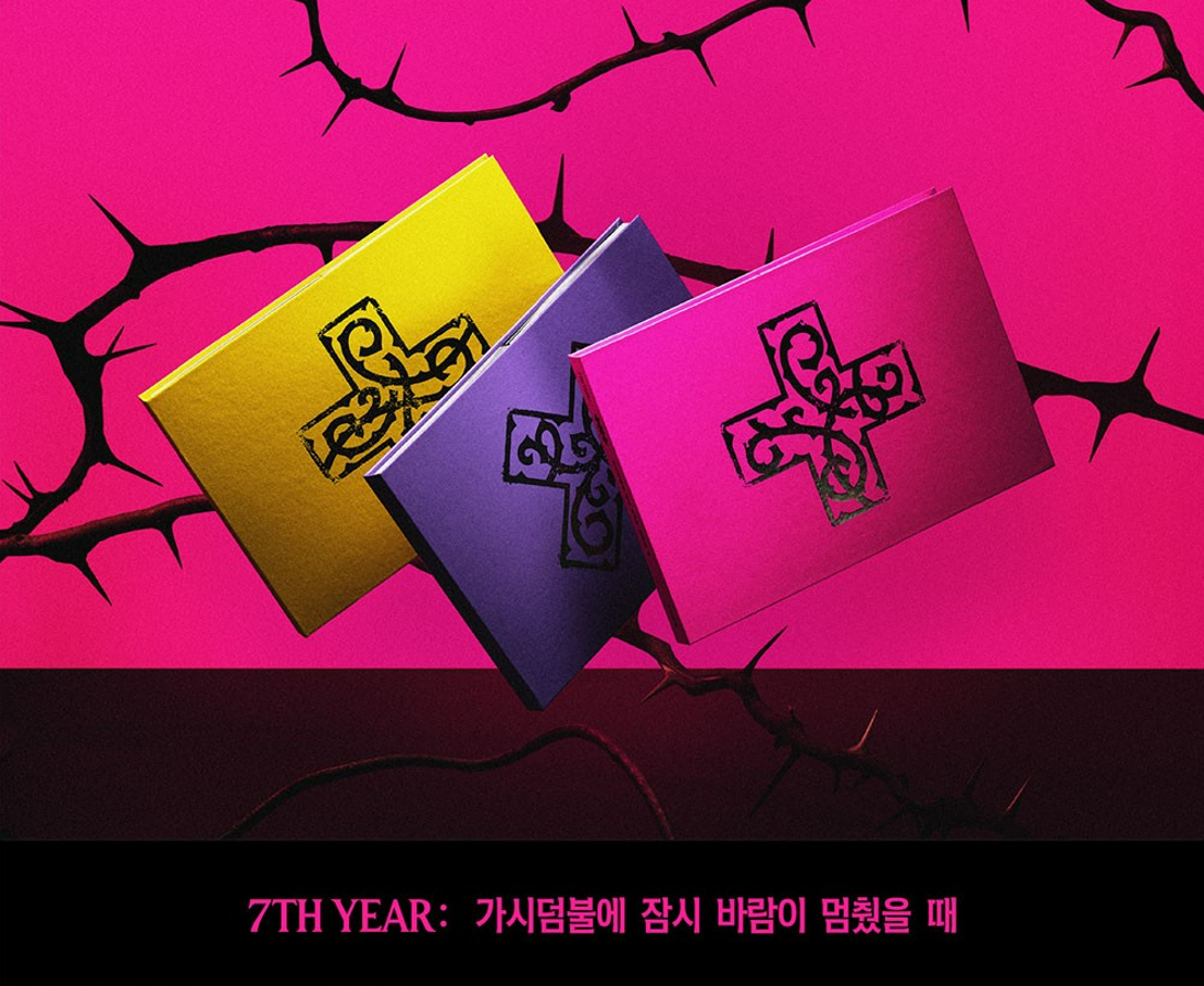 TXT - 7TH YEAR : A MOMENT OF STILLNESS IN THE THORNS – J-Store Online
