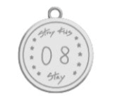 STRAY KIDS - 5 STAR SEOUL SPECIAL MERCHANDISE (DOME TOUR 2023) - NECKLACE - J-Store Online