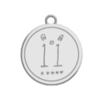 STRAY KIDS - 5 STAR SEOUL SPECIAL MERCHANDISE (DOME TOUR 2023) - NECKLACE - J-Store Online