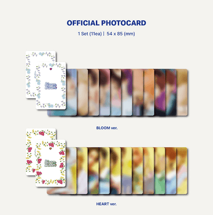 THE BOYZ - BLOOM BLOOM (2ND SINGLE ALBUM) - PLATFORM VER. - J-Store Online