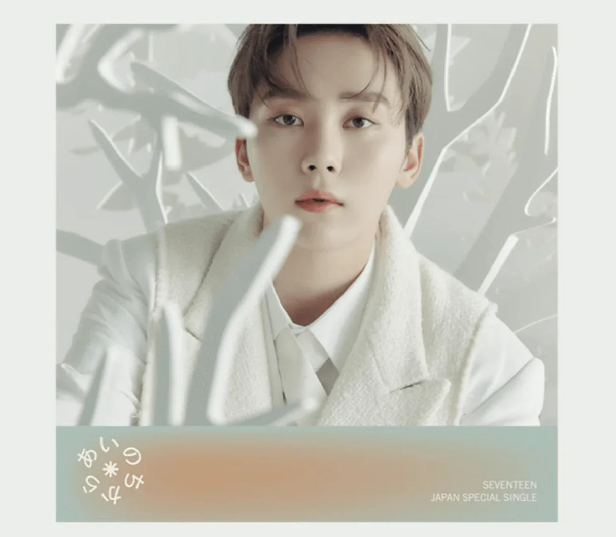 SEVENTEEN - JAPAN SPECIAL SINGLE 'POWER OF LOVE' STANDARD VERSION - J-Store Online