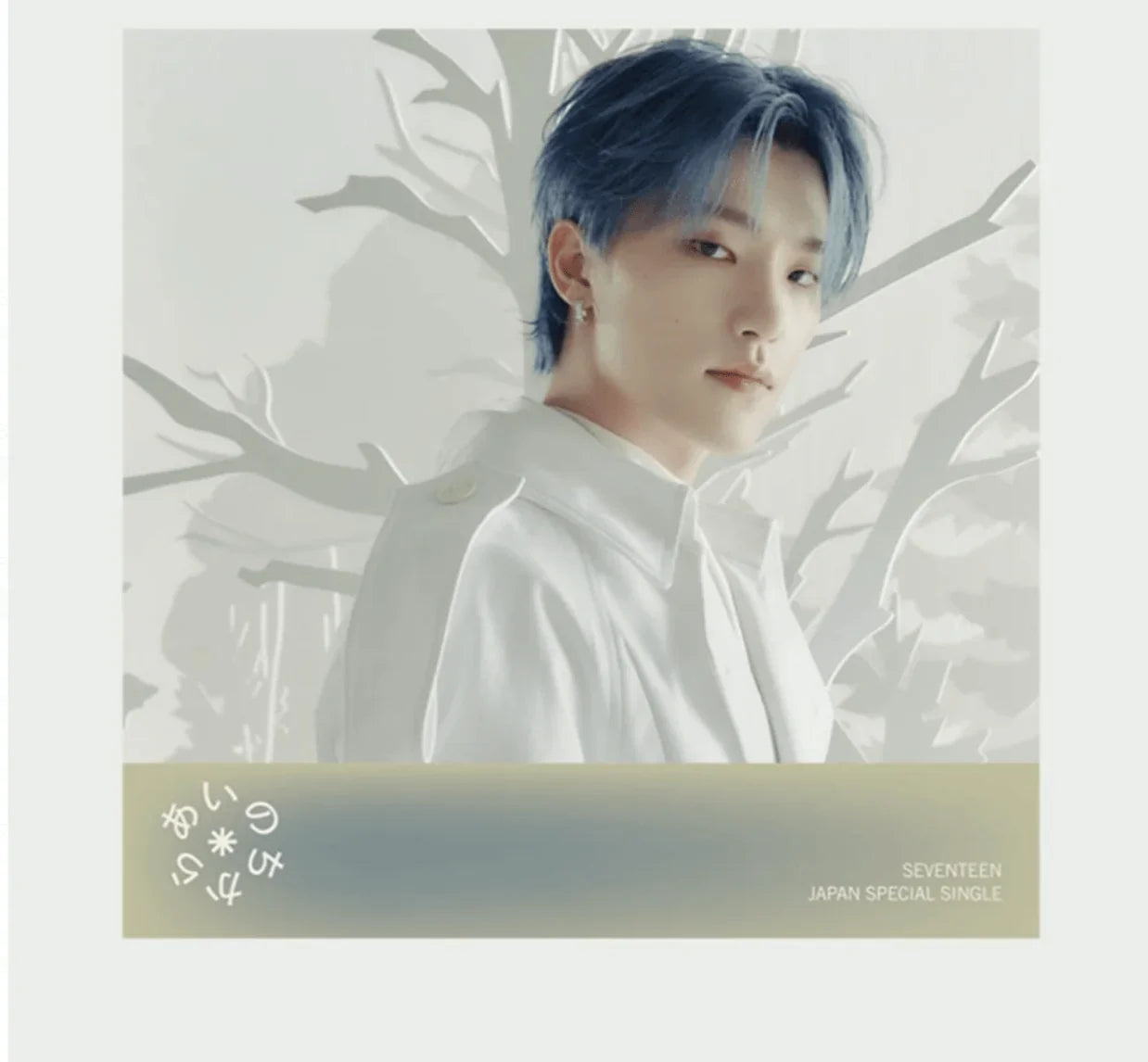 SEVENTEEN - JAPAN SPECIAL SINGLE 'POWER OF LOVE' STANDARD VERSION - J-Store Online