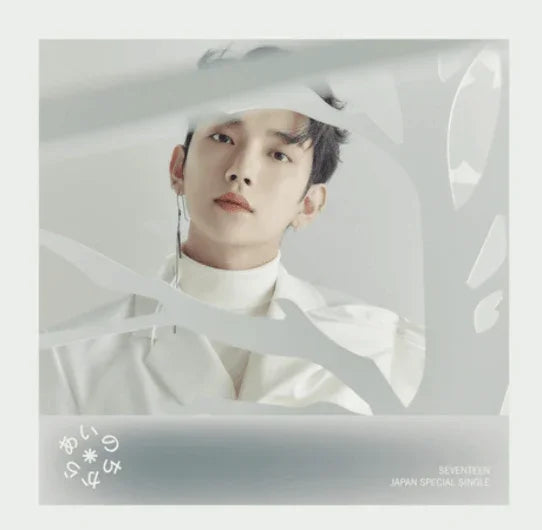 SEVENTEEN - JAPAN SPECIAL SINGLE 'POWER OF LOVE' STANDARD VERSION - J-Store Online