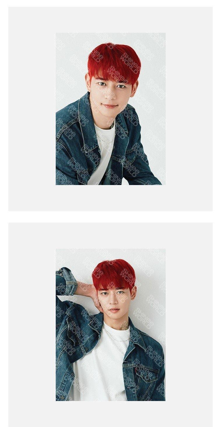 SHINee - Beyond LIVE - SHINee : SHINee WORLD - POSTCARD BOOK - J-Store Online