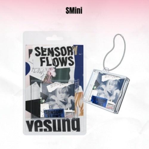 YESUNG - VOL.1 - SENSORY FLOWS (Smini VER.) - J-Store Online